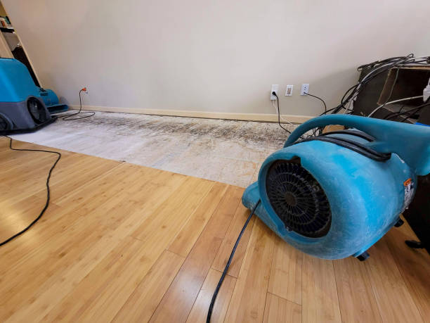 Professional Ceiling Water Damage Repair technician working in Blauvelt, NY